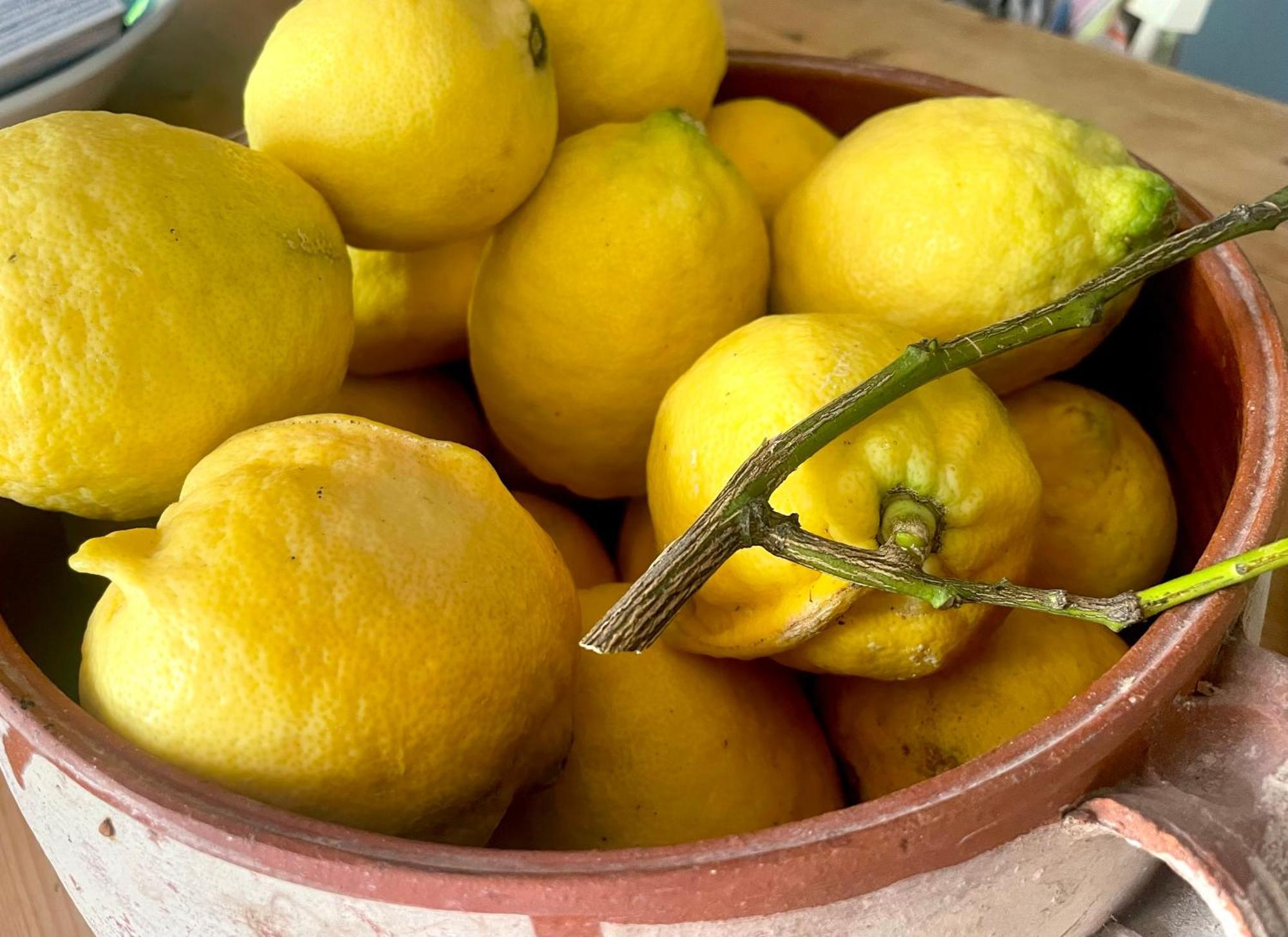 Romantic Lemonia Cottage สโกเปลอสทาวน์ ภายนอก รูปภาพ